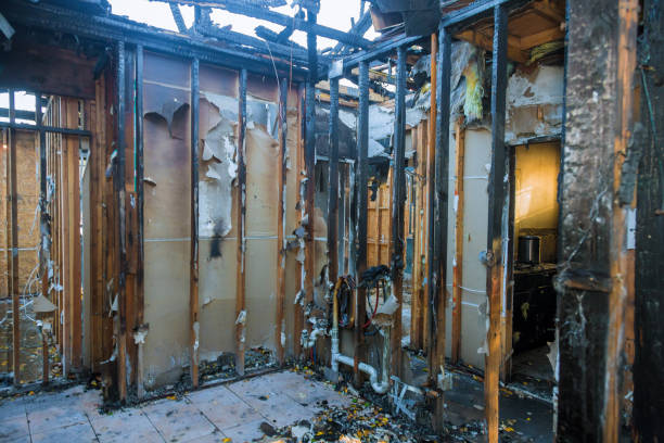 Professional Soot Cleanup technician working in Silver Lake, FL
