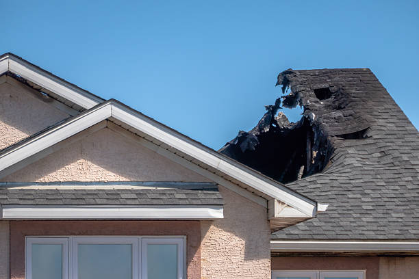 Top rated local Soot Cleanup specialists in Silver Lake, FL